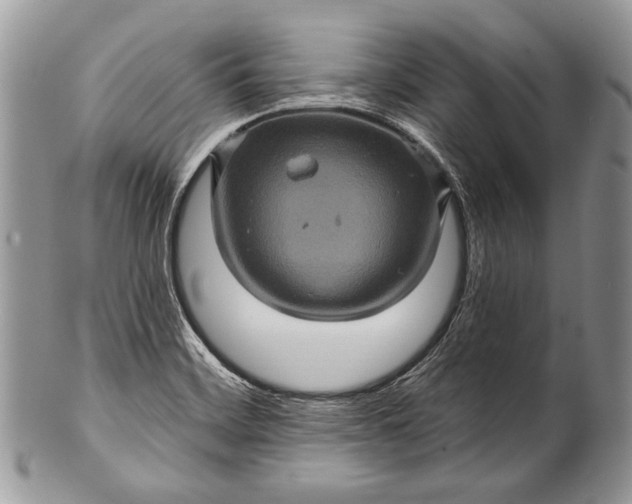 X0000100391468200806201702