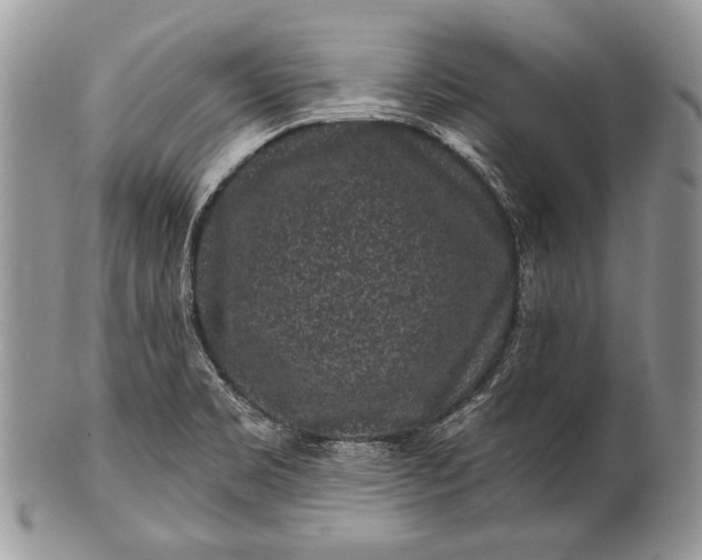 X0000100391469200806201702