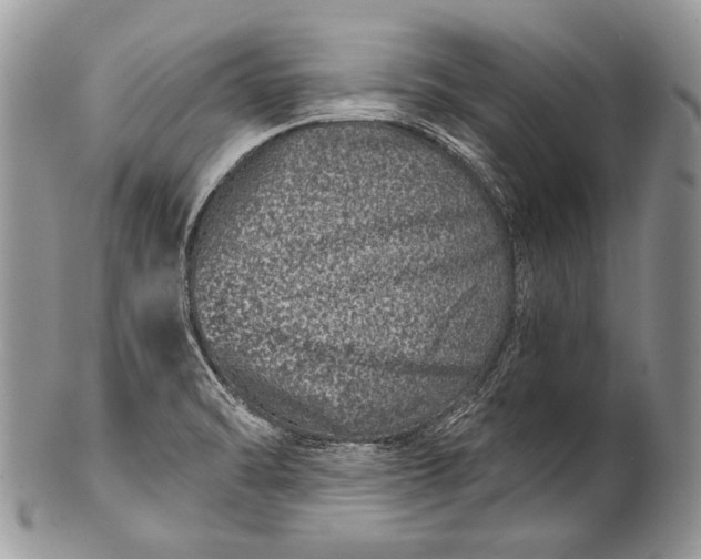 X0000100391470200806201702