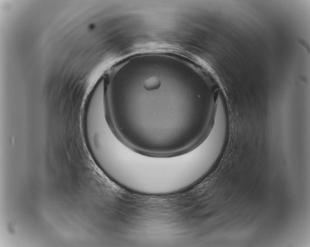 X0000100391472200806201702