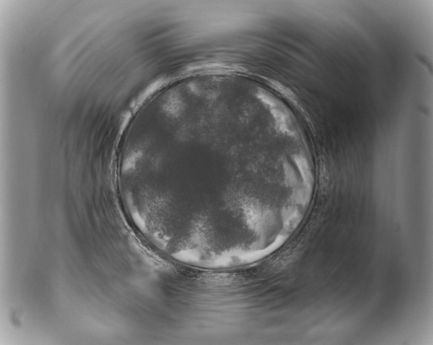 X0000100391474200806201702