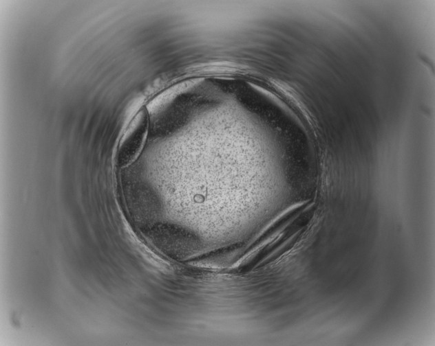 X0000100391475200806201702