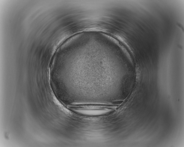 X0000100391476200806201702