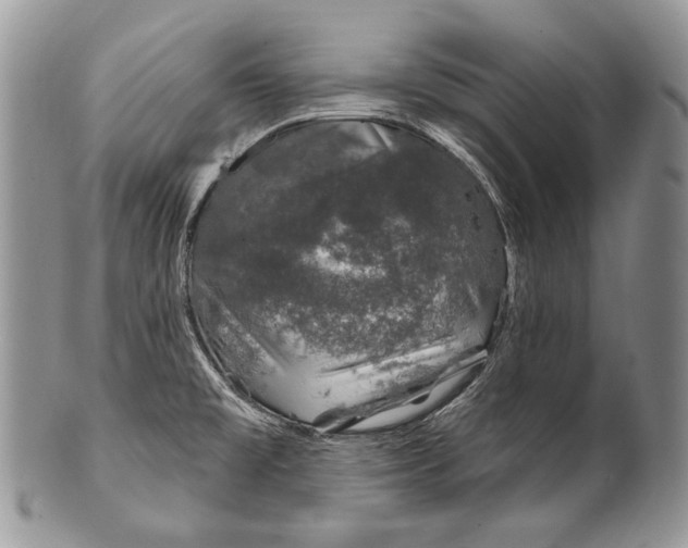 X0000100391477200806201702