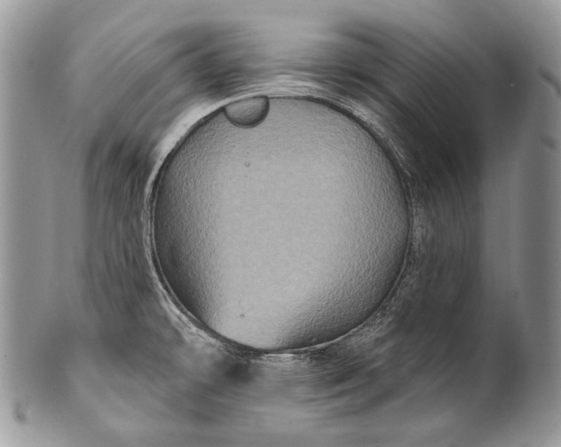 X0000100391478200806201702