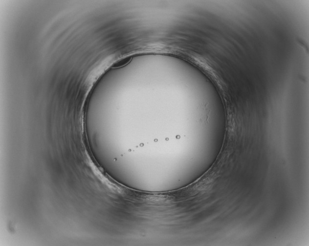 X0000100391479200806201702