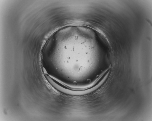 X0000100391480200806201702