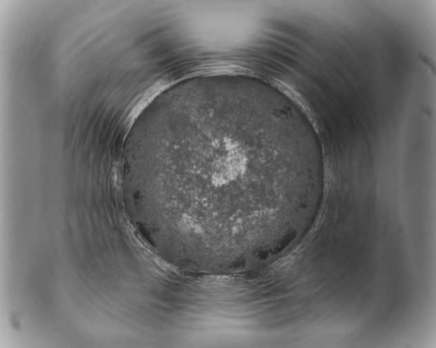 X0000100391481200806201702