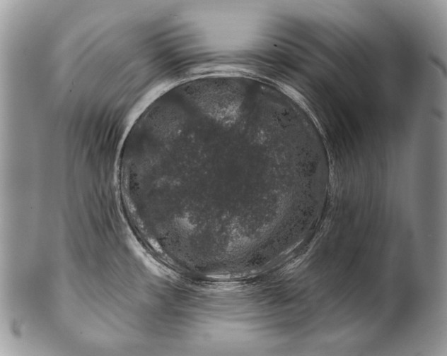 X0000100391482200806201702