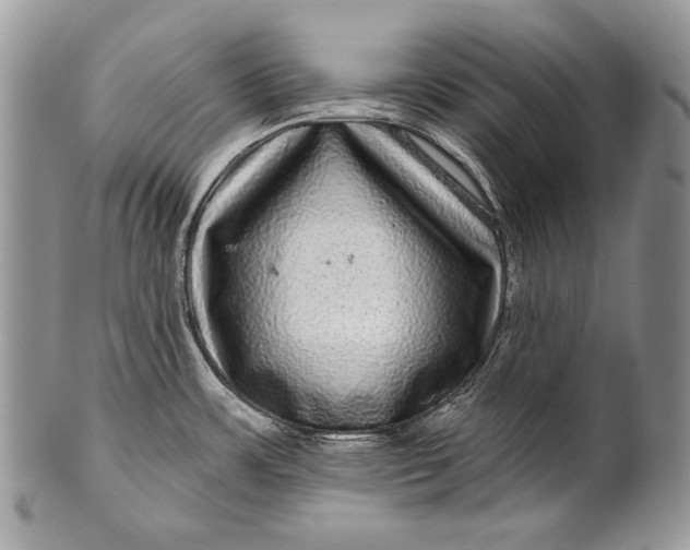 X0000100391483200806201702