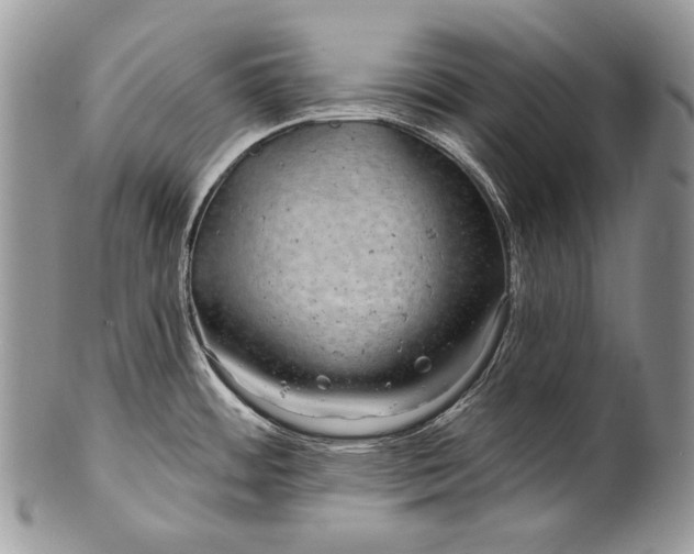 X0000100391484200806201702