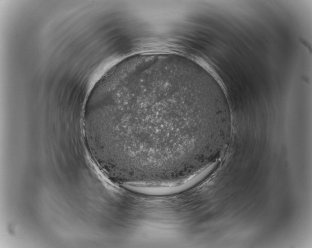 X0000100391485200806201702