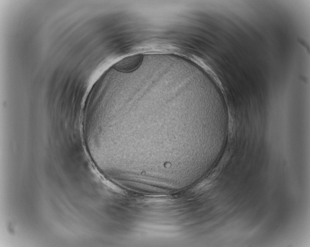 X0000100391486200806201702