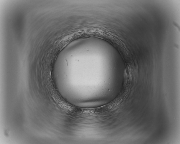 X0000100391489200806201701