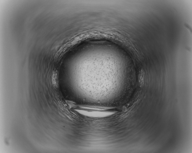 X0000100391490200806201701