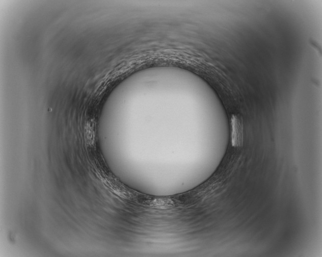 X0000100391491200806201701