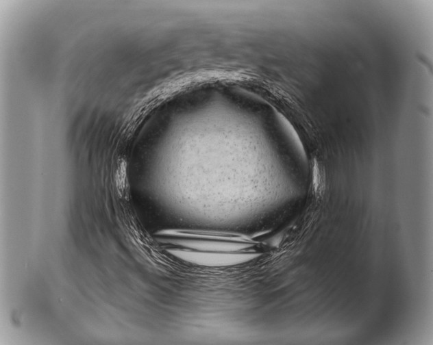 X0000100391492200806201701