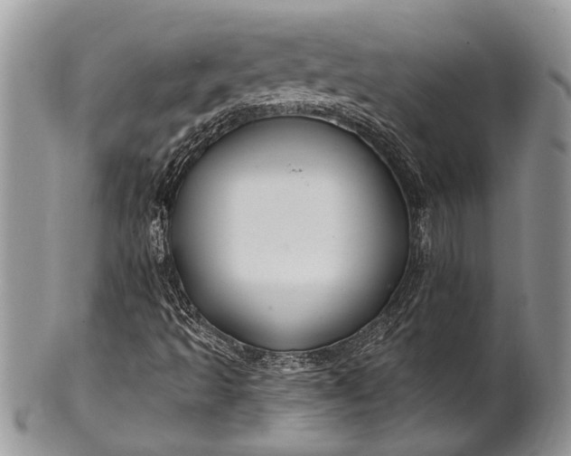 X0000100391493200806201701