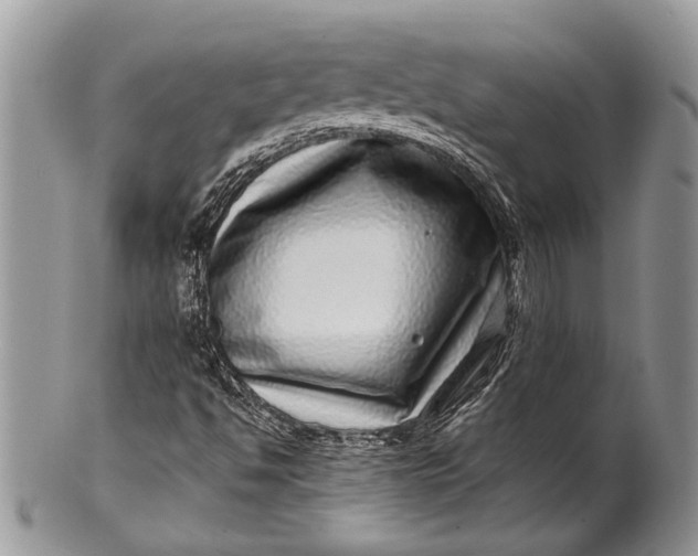 X0000100391494200806201701