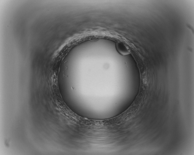 X0000100391495200806201701