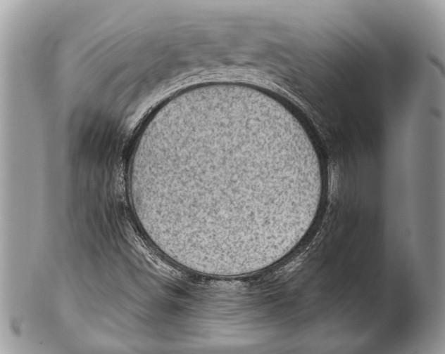 X0000100391498200806201701