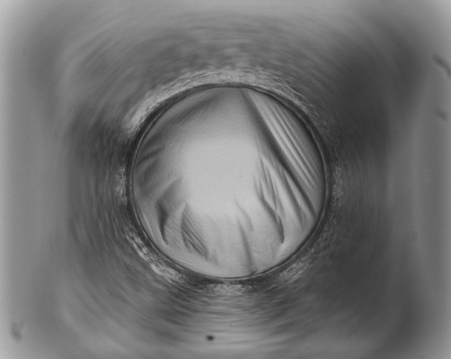 X0000100391499200806201701