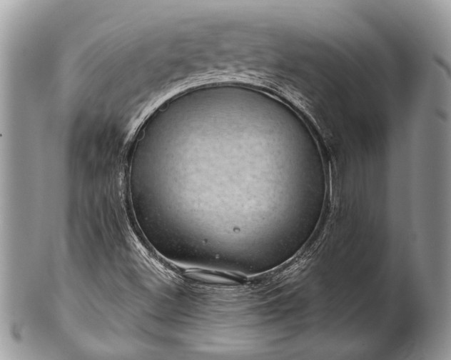 X0000100391500200806201701