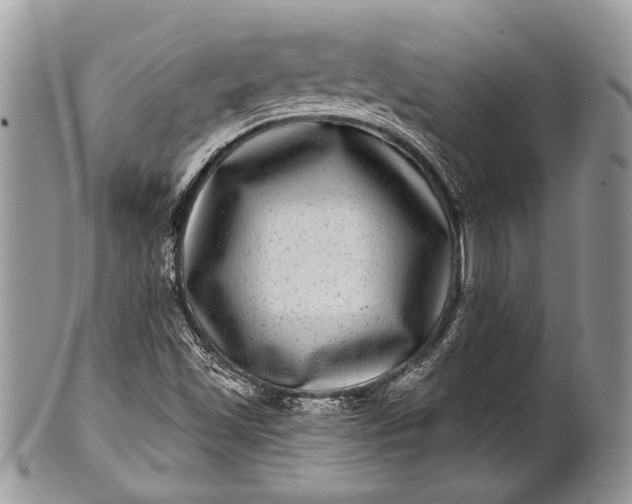 X0000100391501200806201701