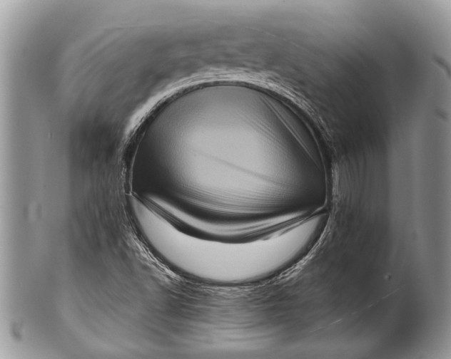 X0000100391502200806201702