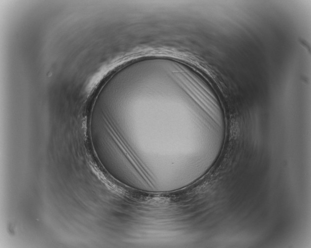 X0000100391503200806201702