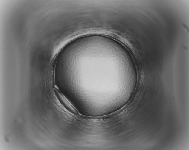 X0000100391504200806201702