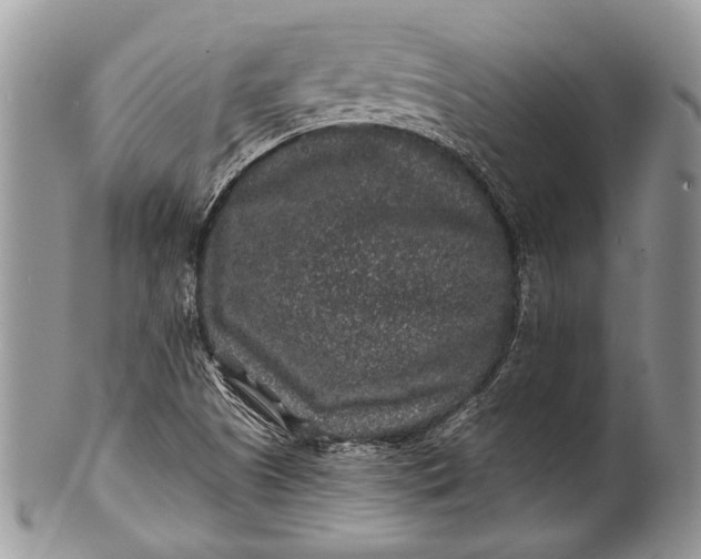 X0000100391505200806201702