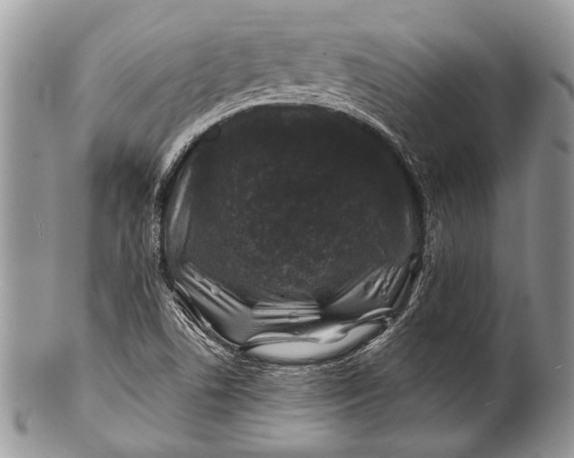 X0000100391506200806201702