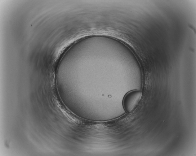 X0000100391507200806201702