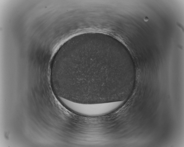 X0000100391508200806201702