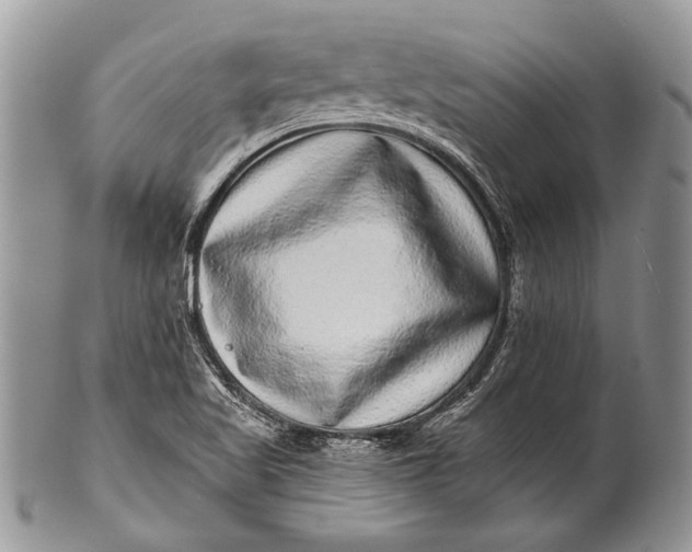 X0000100391509200806201702