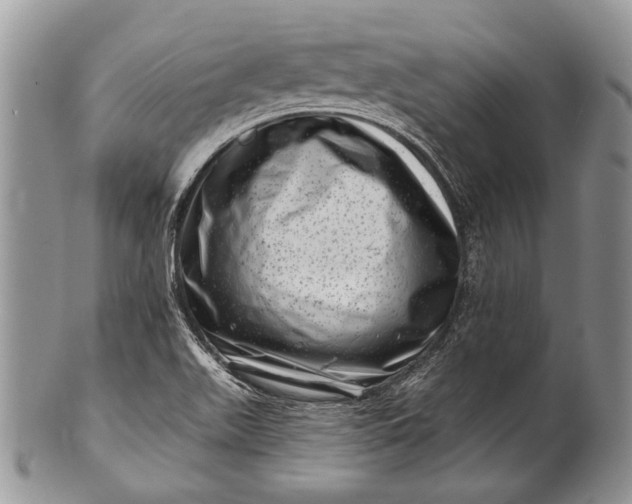 X0000100391511200806201702