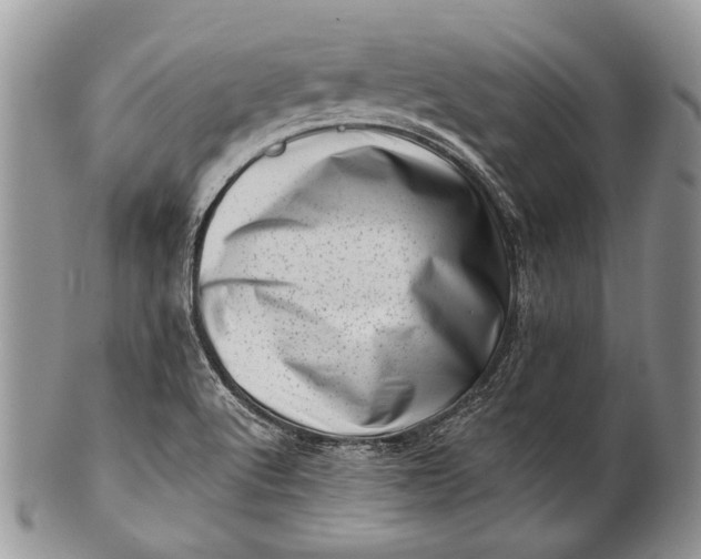 X0000100391512200806201702