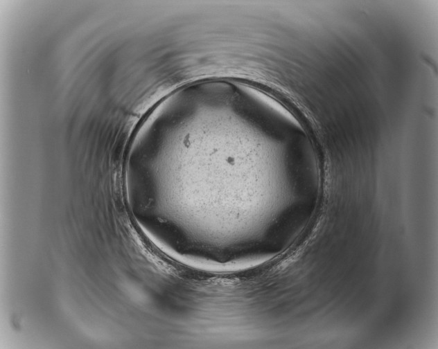 X0000100391513200806201702