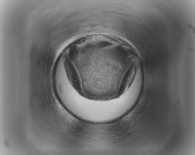 X0000100391514200806201702