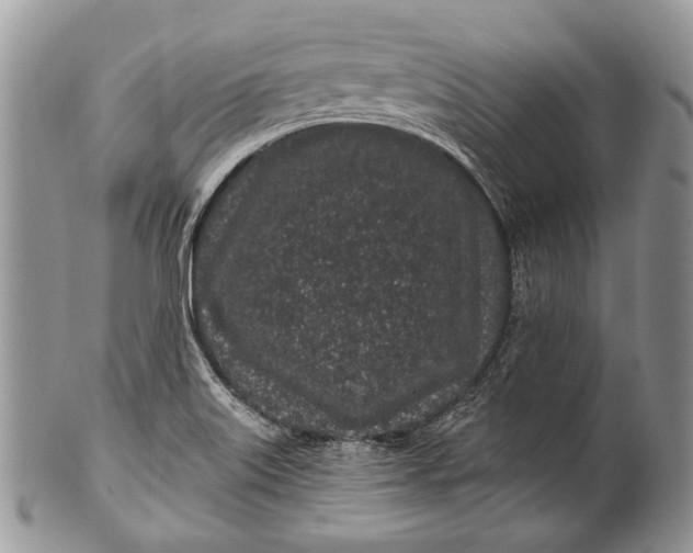 X0000100391515200806201702