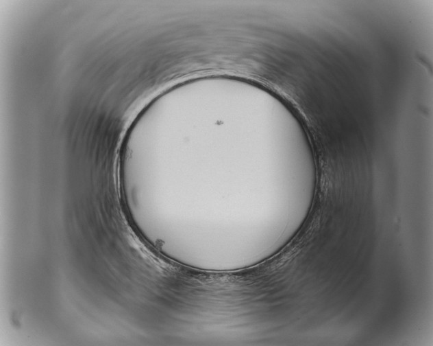 X0000100391516200806201702