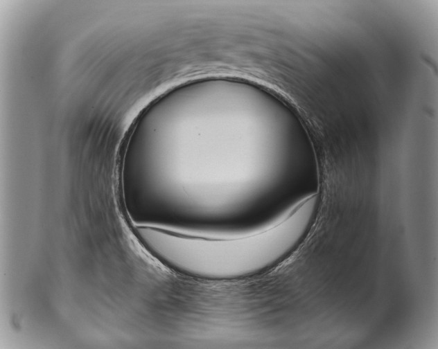 X0000100391518200806201702