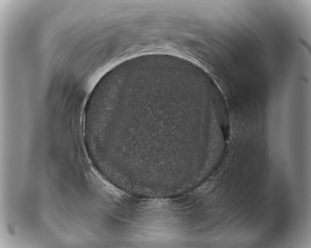 X0000100391519200806201702