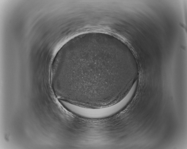 X0000100391520200806201702