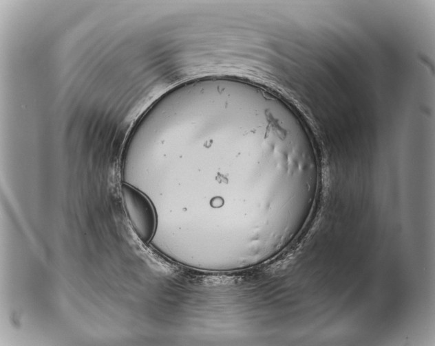 X0000100391521200806201702