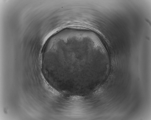 X0000100391522200806201702