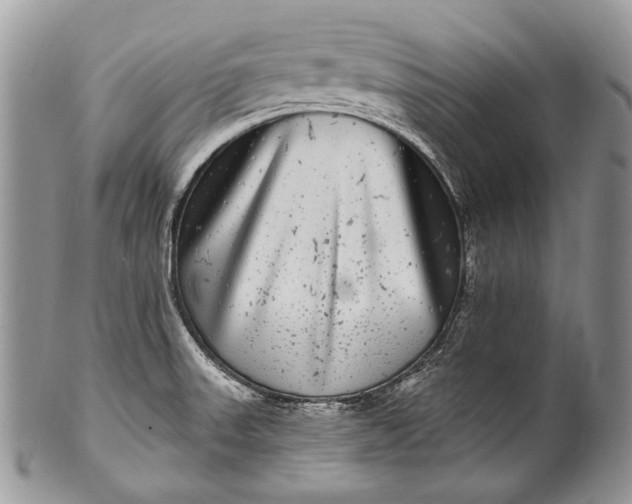 X0000100391523200806201702