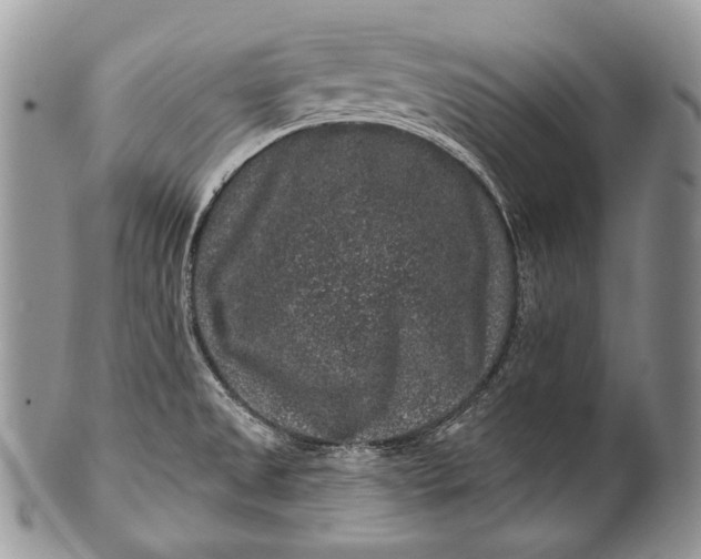 X0000100391525200806201702