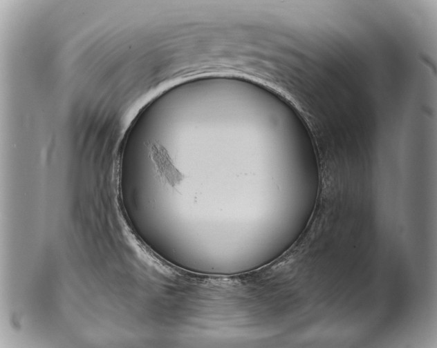 X0000100391526200806201702